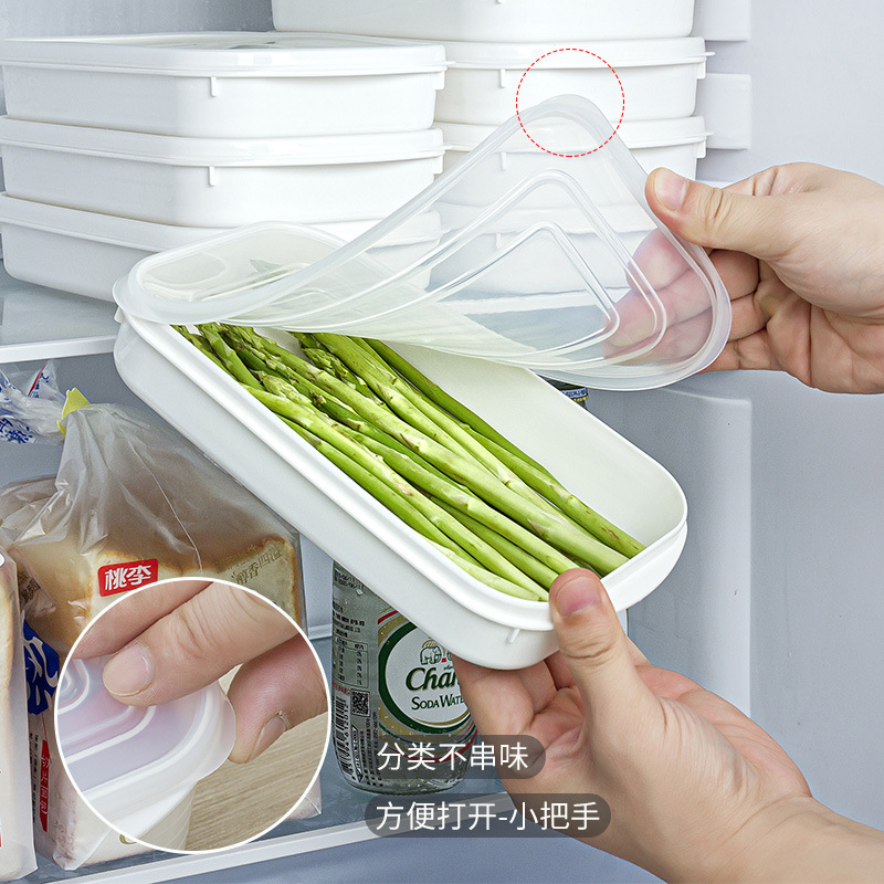 YAMADA Food Storage Containers - Meal Prep Frozen review and price